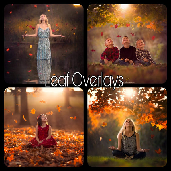 Jake Olson's Starter Bundle Only $30 With Code: SAVE50